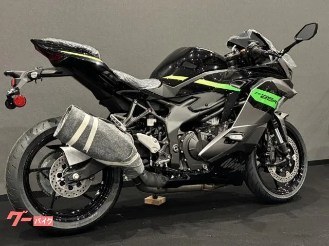 Kawasaki Ninja ZX-25R SE X 2026 — миниатюра 2