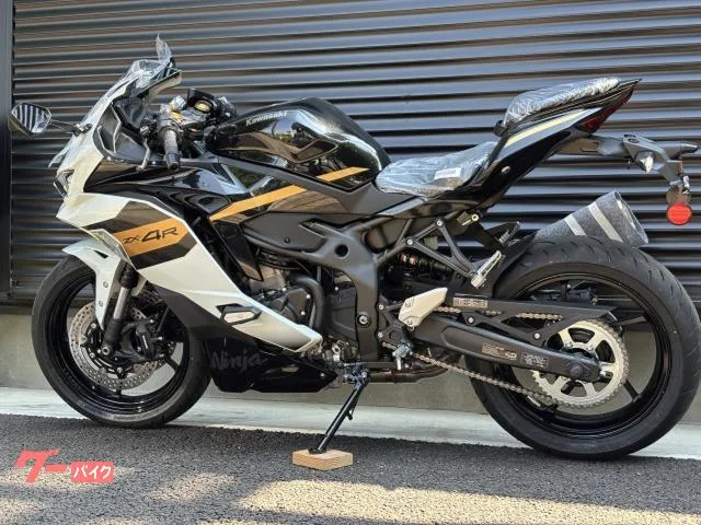 Kawasaki Ninja ZX-4R SE / 2026 — миниатюра 2