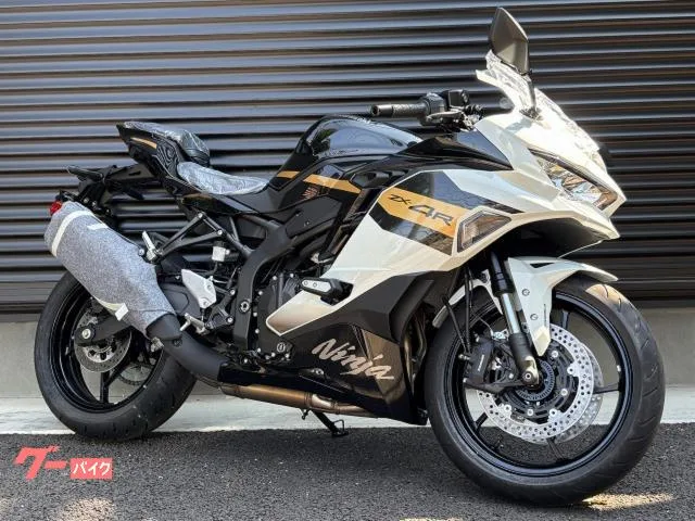 Kawasaki Ninja ZX-4R SE / 2026 — фото 1, купить с доставкой в Москву