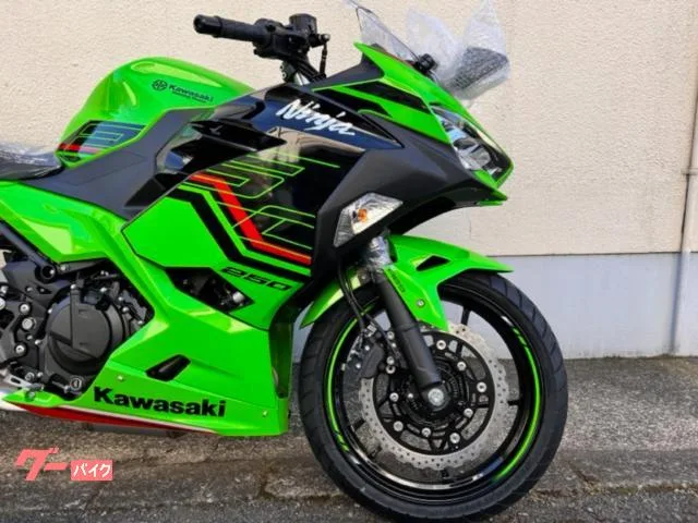 Kawasaki Ninja 250 KRT 23MODEL 2023 — миниатюра 4