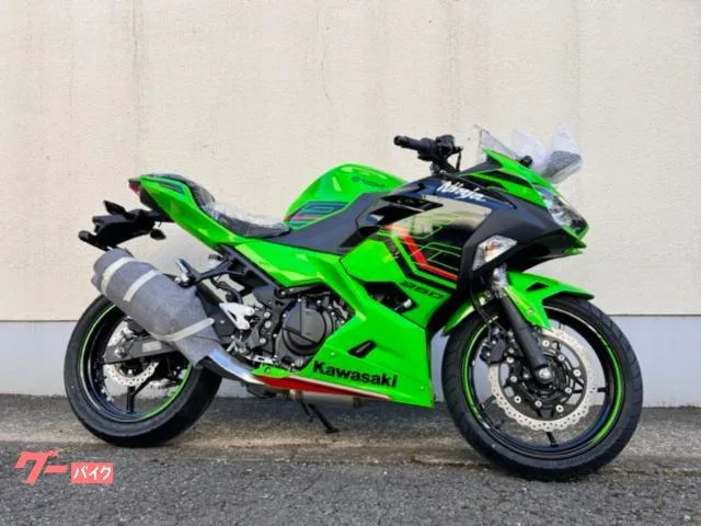 Kawasaki Ninja 250 KRT 23MODEL 2023 — фото 1, купить с доставкой в Москву