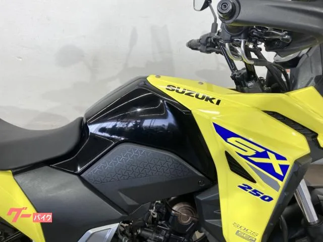 Suzuki V- 250SX 74754 2023 — миниатюра 4
