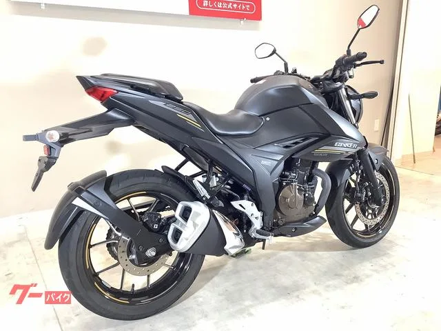 Suzuki GIXXER 250/ / 2023 — миниатюра 2