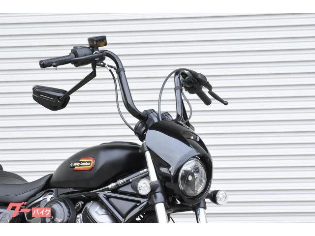 HARLEY-DAVIDSON RH975S 2023 — миниатюра 3