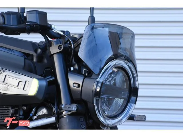 HUSQVARNA 401 ETC TFT 2024 — миниатюра 3