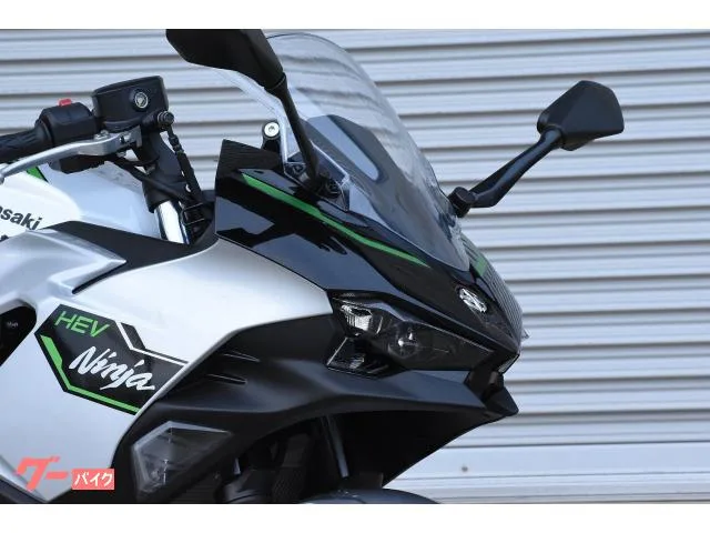 Kawasaki Ninja 7 Hybrid 2024 — миниатюра 3