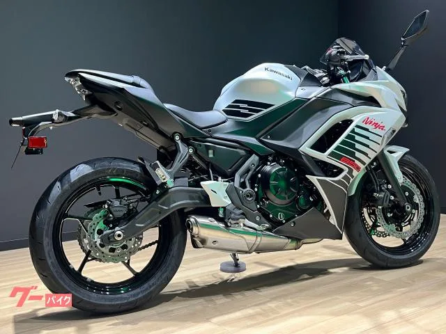 Kawasaki Ninja 650 2026 2026 — миниатюра 3