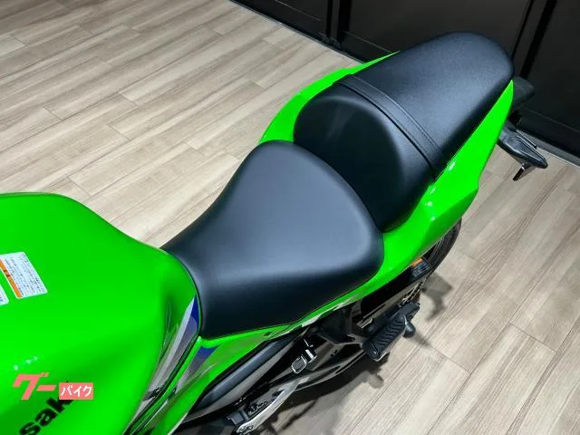 Kawasaki Ninja 650 2026 2026 — миниатюра 2