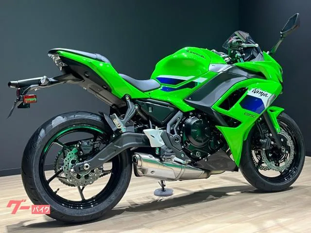 Kawasaki Ninja 650 2026 2026 — миниатюра 3