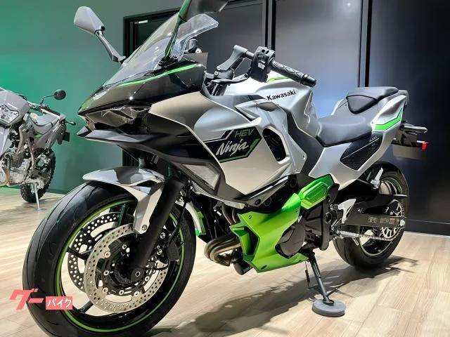 Kawasaki Ninja 7 Hybrid 2024 2024 — миниатюра 2
