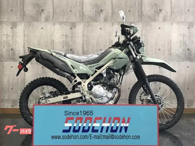 Kawasaki KLX230 2025 — фото 1, купить с доставкой в Москву