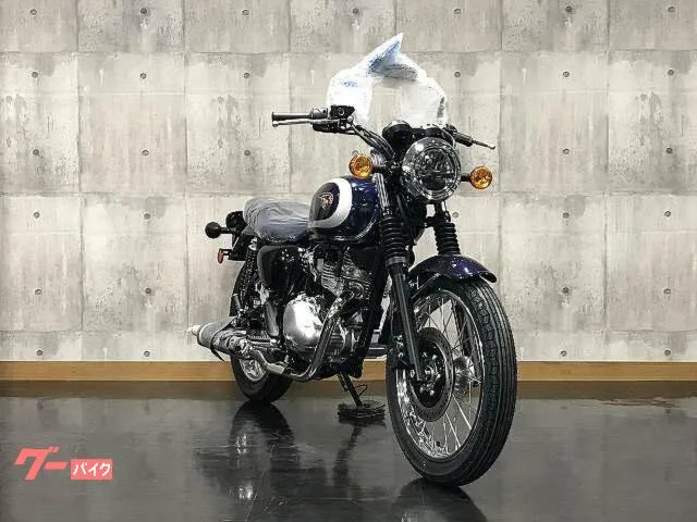 Kawasaki W230 2025 — миниатюра 3