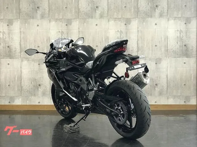 Kawasaki Ninja ZX-4R SE 2026 — миниатюра 2