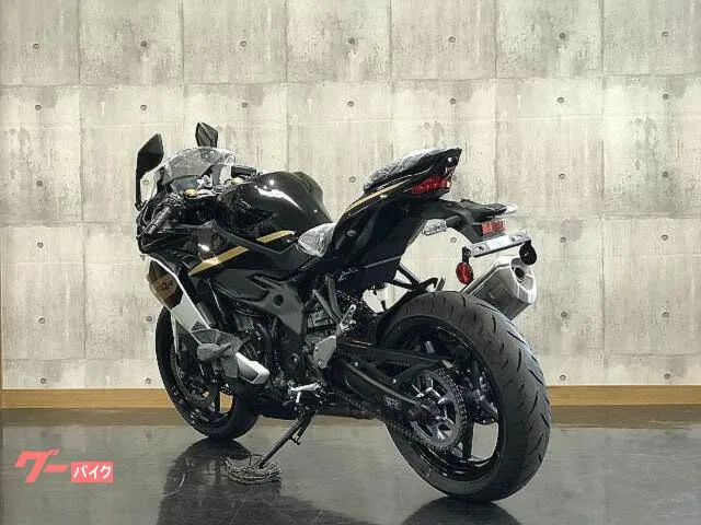 Kawasaki Ninja ZX-4R SE 2026 — миниатюра 2