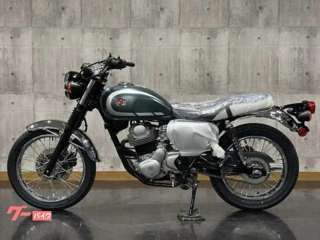 Kawasaki W230 2026 — миниатюра 2