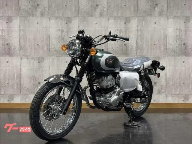 Kawasaki W230 2026 — миниатюра 4