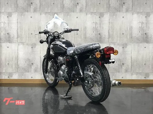 Kawasaki S1 2025 2025 — миниатюра 2