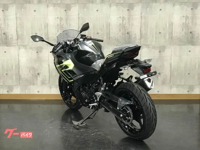 Kawasaki Ninja 250 2026 — миниатюра 2