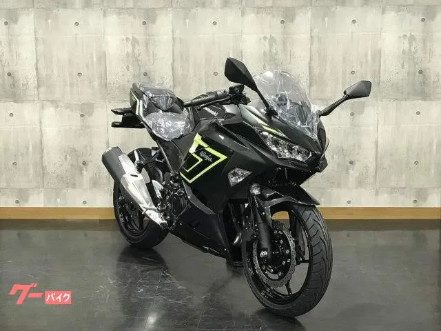 Kawasaki Ninja 250 2026 — миниатюра 3