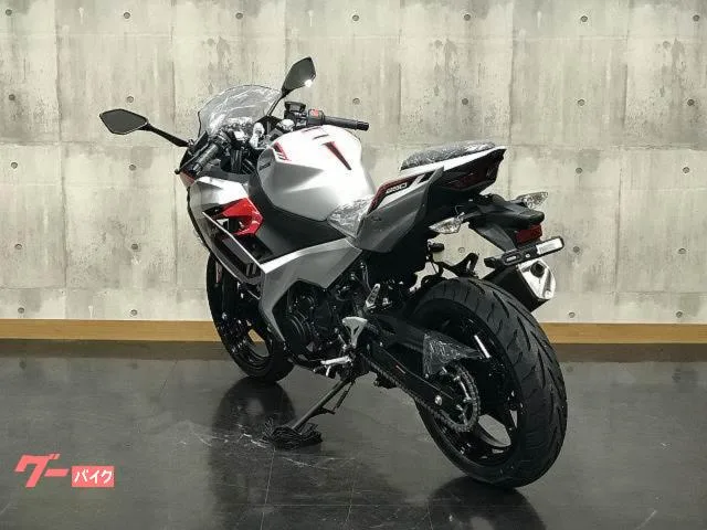 Kawasaki Ninja 250 2026 — миниатюра 2