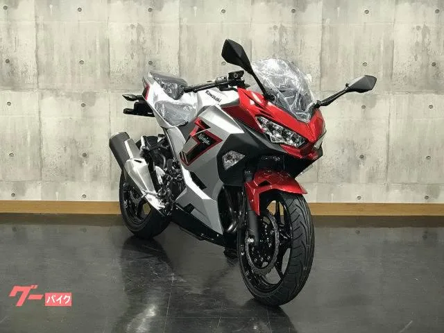 Kawasaki Ninja 250 2026 — миниатюра 3