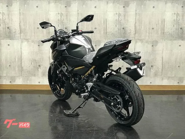 Kawasaki Z400 2026 — миниатюра 2