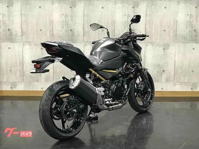 Kawasaki Z400 2026 — миниатюра 4