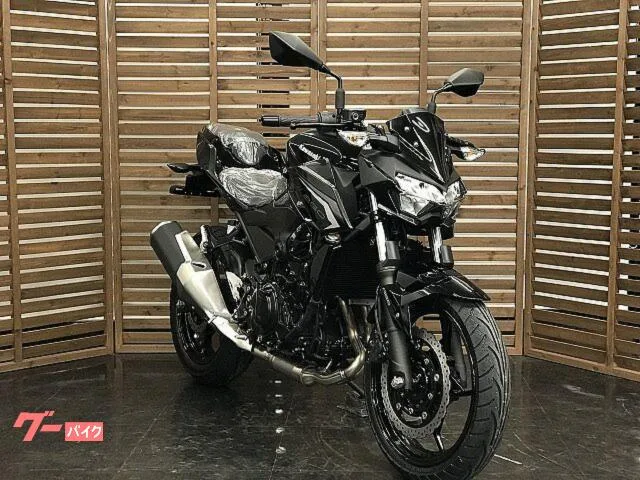 Kawasaki Z250 2026 — миниатюра 3