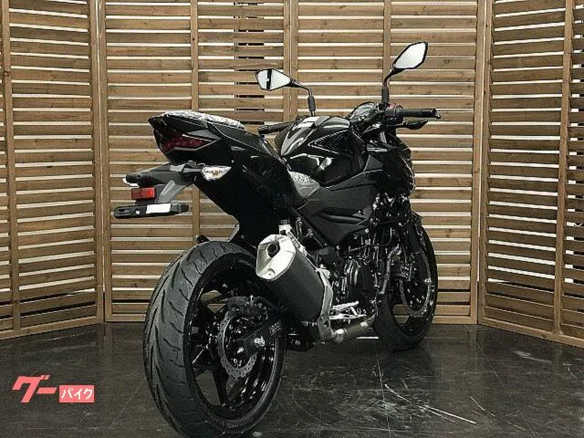Kawasaki Z250 2026 — миниатюра 4