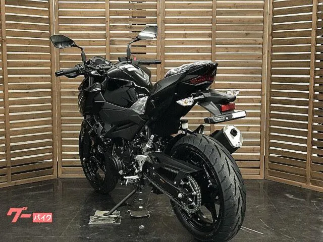 Kawasaki Z250 2026 — миниатюра 5