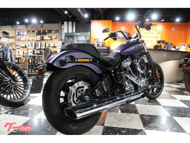 HARLEY-DAVIDSON FXBB 117 2025 — миниатюра 3