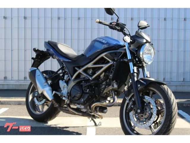 Suzuki SV650 2023 — фото 1, купить с доставкой в Москву