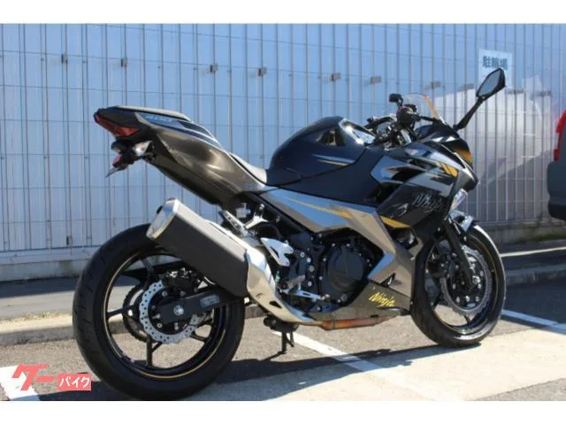 Kawasaki Ninja 400 2022 — миниатюра 5