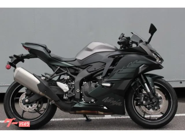 Kawasaki Ninja ZX-4R SE 2025 — миниатюра 4