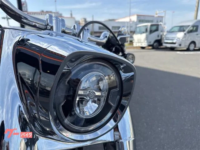 HARLEY-DAVIDSON FLSTFI 2025 — миниатюра 2
