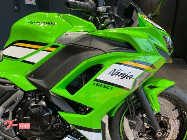 Kawasaki Ninja 650 KRT EDITION 2025 — миниатюра 2