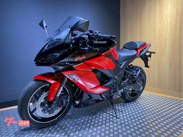 Kawasaki Ninja 1000 SX 40th Anniversary Edition 2024 — миниатюра 2