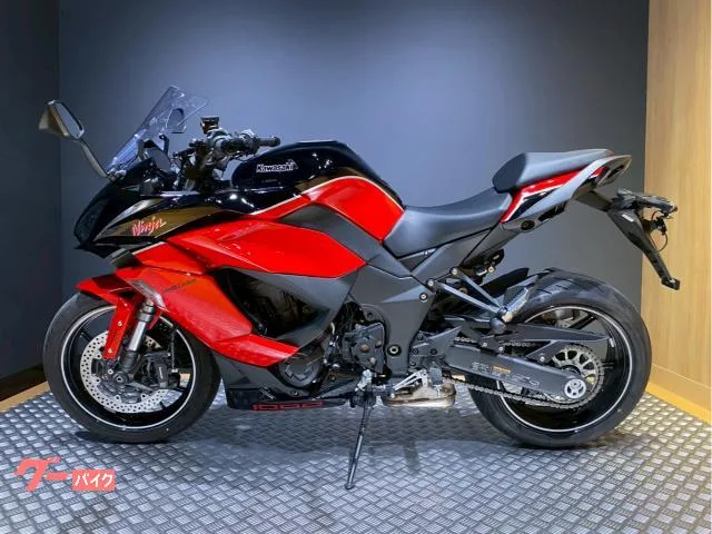 Kawasaki Ninja 1000 SX 40th Anniversary Edition 2024 — миниатюра 3