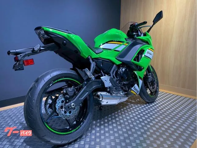 Kawasaki Ninja 650 ETC 2025 — миниатюра 3