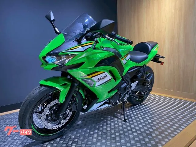 Kawasaki Ninja 650 ETC 2025 — миниатюра 4