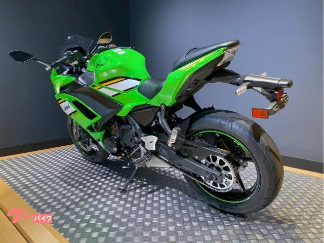 Kawasaki Ninja 650 ETC 2025 — миниатюра 5