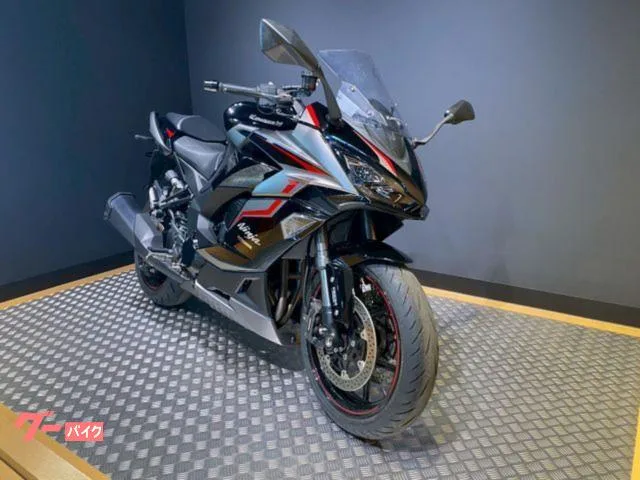 Kawasaki Ninja 1000 SX 2024 — миниатюра 3