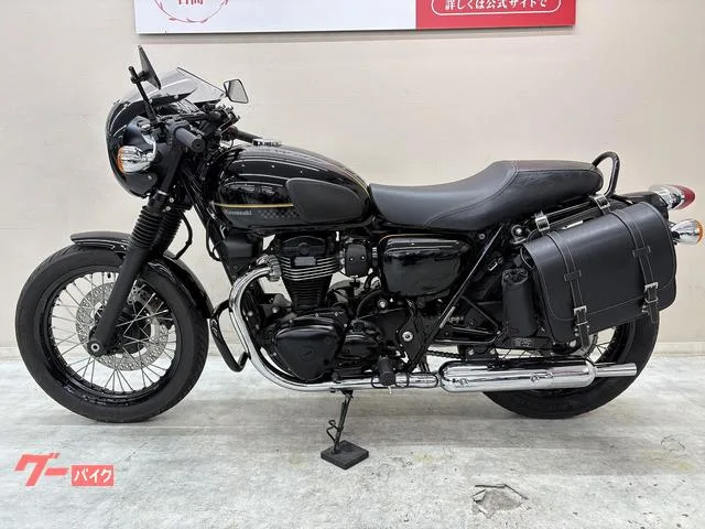 Kawasaki W800 USB 2023 — миниатюра 5