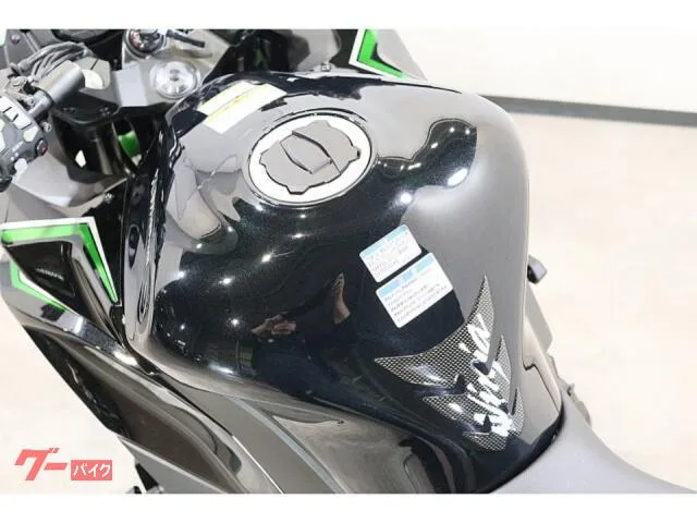 Kawasaki Ninja 1000 SX 2023 ETCABSKTRCGP 2023 — миниатюра 5
