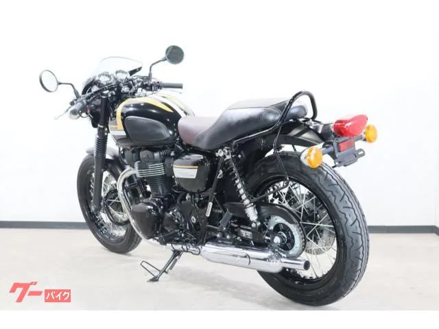 Kawasaki W800 2022 ETCABSEGUSBGP 2022 — миниатюра 4