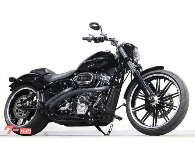 HARLEY-DAVIDSON FXBRS 114 BASSANI 260 2022 — фото 1, купить с доставкой в Москву