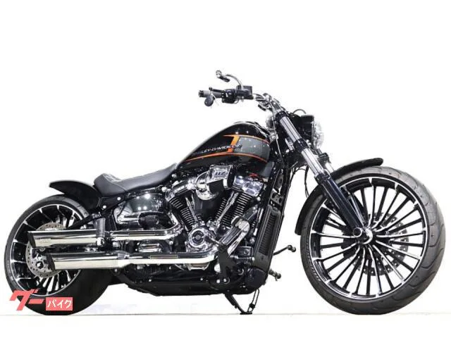 HARLEY-DAVIDSON FXBR MS NOYSKIT 2023 — фото 1, купить с доставкой в Москву