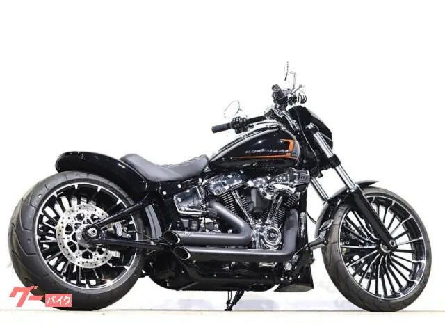 HARLEY-DAVIDSON FXBR Vance FP4 ETC 2023 — миниатюра 5