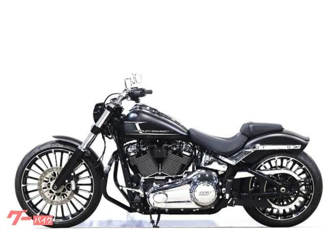 HARLEY-DAVIDSON FXBR 117 VP ETC 2023 — миниатюра 5