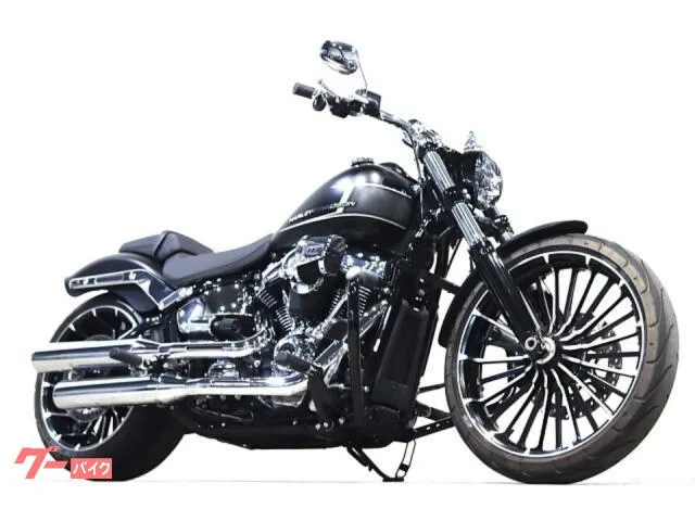 HARLEY-DAVIDSON FXBR 117 VP ETC 2023 — фото 1, купить с доставкой в Москву